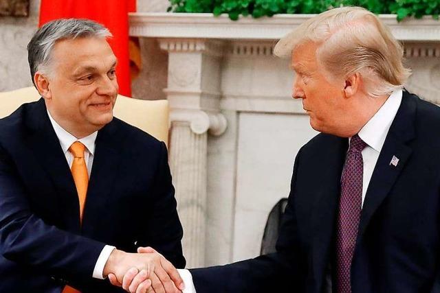 Warum Donald Trump und Viktor Orban einander umgarnen