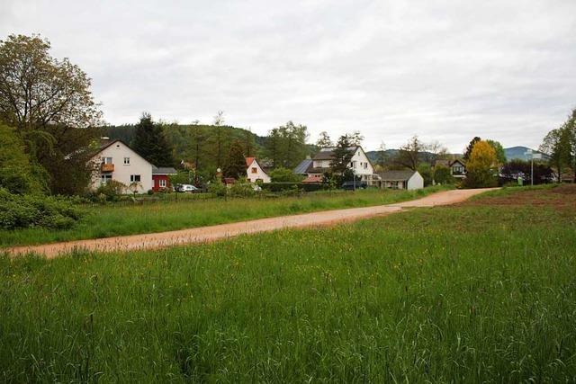 Viel Wirbel um viel Erde rund ums Baugebiet Breitmatt