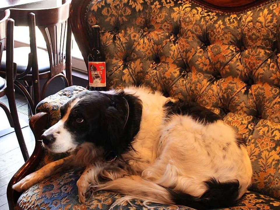 Sarahs Hund Jamie mit &#8222;Jamie&#8217;s&#8220;.  | Foto: Emma Tries