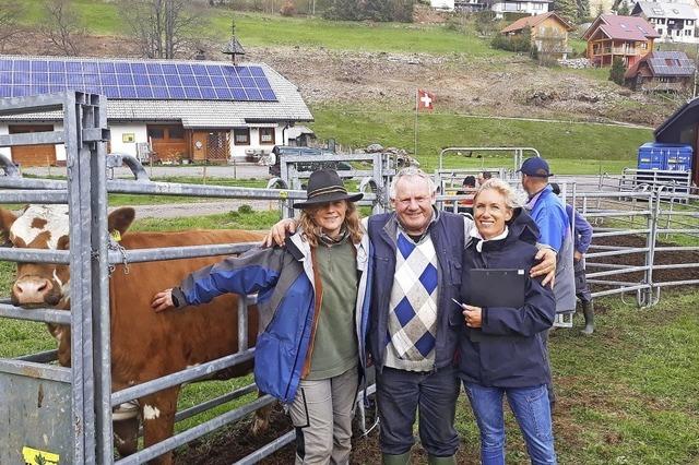 Wieder auf der Weide