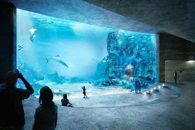 Basel streitet um ein Großaquarium für rund 90 Millionen Euro