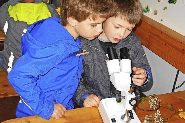 Kleine Forscher erkunden die Natur