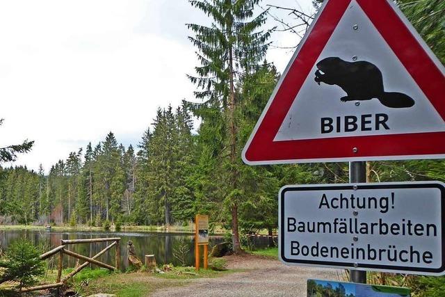 Grundstckseigentmer am Titisee verweigern Ultra-Bikern berfahrt