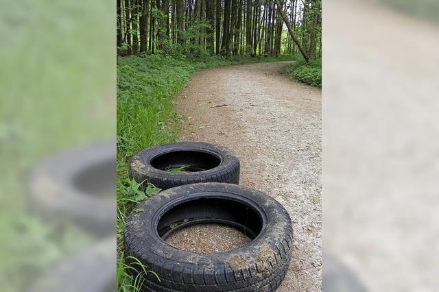 Unrat im Wald bleibt ein wiederkehrendes Problem