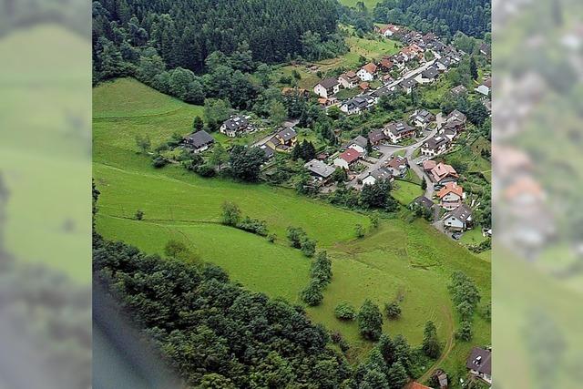 Solarenergie auf der Wiese?