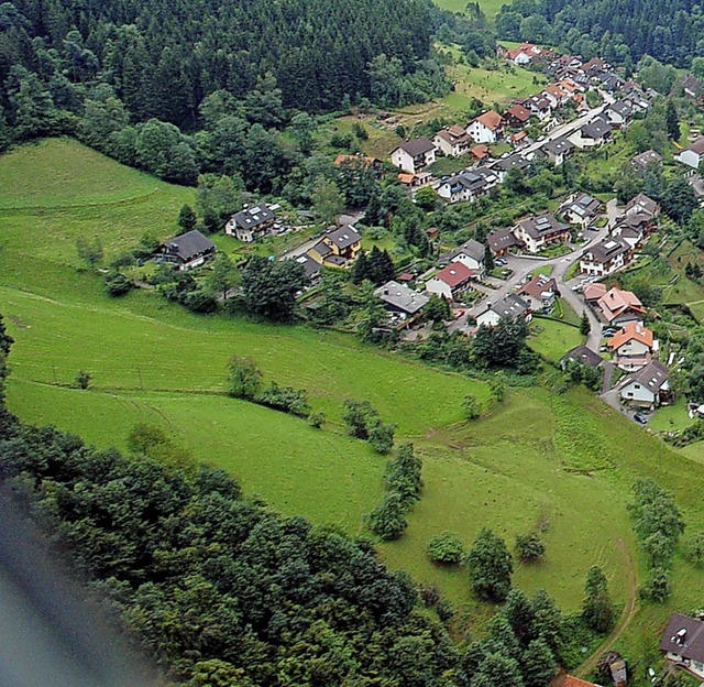 Auf der freien Wiesenflche (links) ob... ist eine Photovoltaikanlage geplant.   | Foto: Horst Dauenhauer