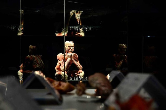 Eine prparierte Leiche als Ausstellungsstck  | Foto: Ingo Schneider