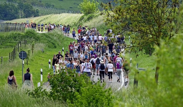 Vor allem bei schnem Wetter wird der ... zwischen Mllheim und Staufen locken.  | Foto: Volker Mnch