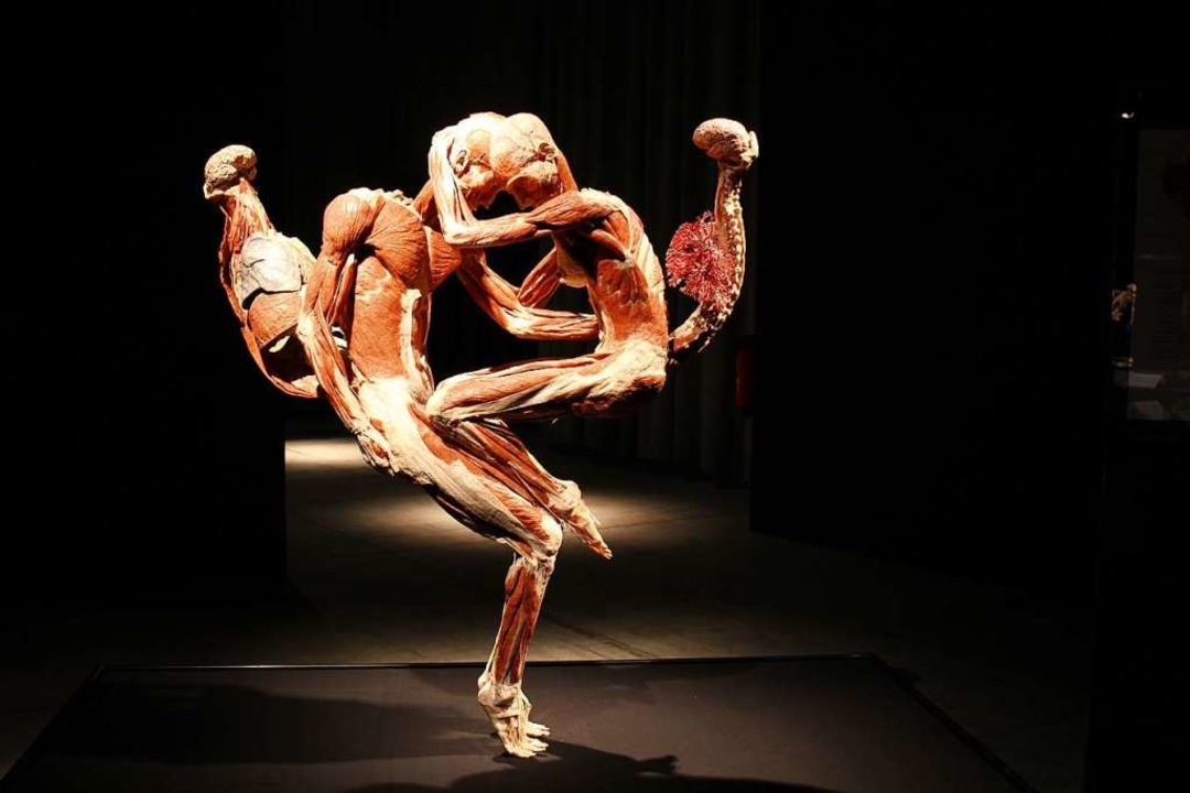 Rund 200 einzigartige Prparate werden... Ausstellung Krperwelten dargestellt.  | Foto: Emma Tries
