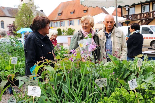 Frische Kruterpflanzen machten Lust auf den Frhling.  | Foto: Christa Rinklin