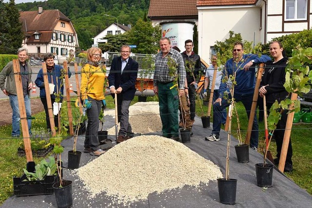 In Herten entsteht dank der Markt-Akti...ner Weinberg mit typischer Vegetation.  | Foto: Martin Eckert