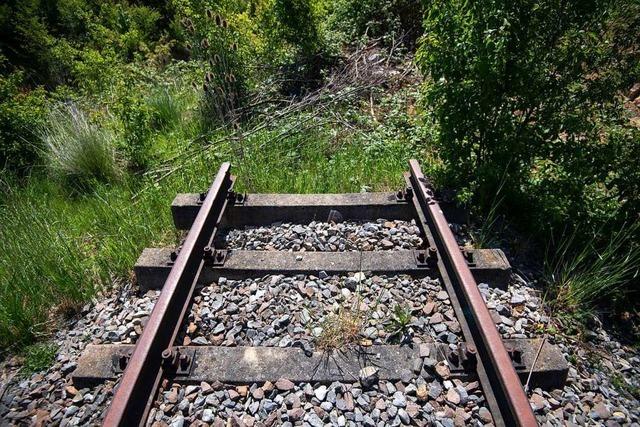 Verbände wollen Bahnstrecken im Südwesten wiederbeleben