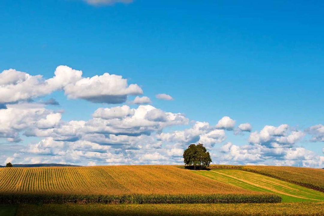 Neben einem Gewerbegebiet bietet Freib...ftsausblicke, die wie gemalt aussehen.  | Foto: Rainer Zurheiden