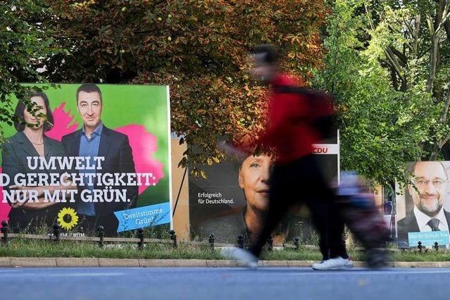 Waldshuter Grüne erstatten Anzeige wegen beschädigter Wahlplakate