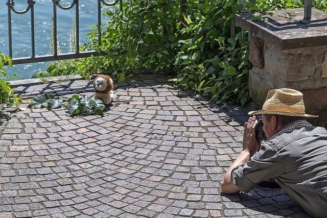 Fotomarathon Rheinfelden geht in die vierte Runde