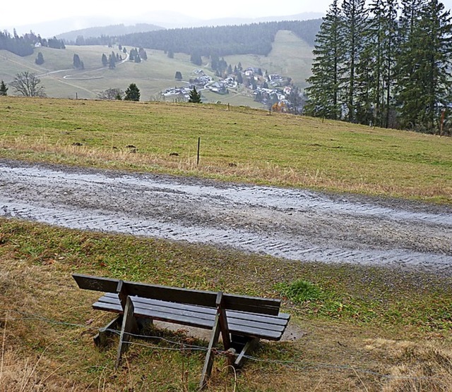 Am Bergrcken  Radschert ist ein Hotelbau geplant.  | Foto: Sattelberger