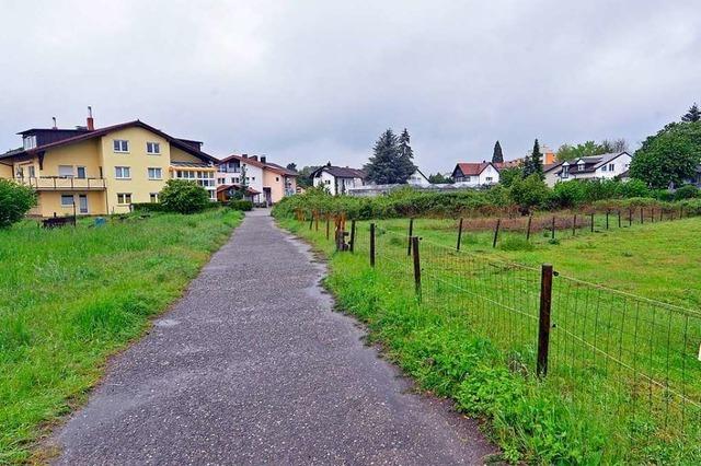 Vorentwurf des Baugebiets Obergrn in Betzenhausen steht in der Kritik