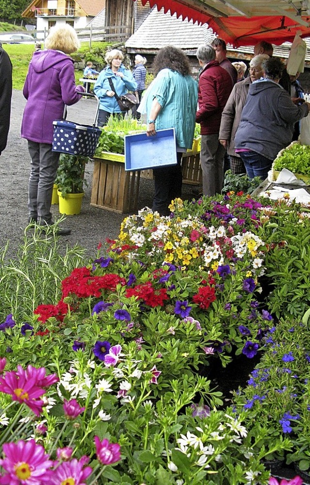 Trotz Regens war das Interesse am Gartentag gut.  | Foto: Ulrike Spiegelhalter