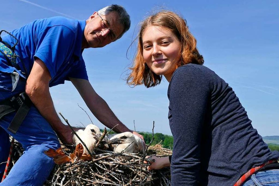 BZ-Reporterin Elena Hunn traute sich knapp 30 Meter hinauf zum Storchennest.  | Foto: Elena Hunn