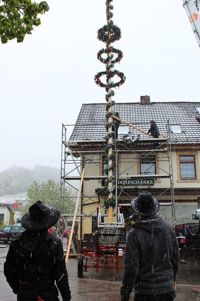 Trotz Schneeregens steht der Wirtsbaum nun im Lot.  | Foto: Erich Krieger