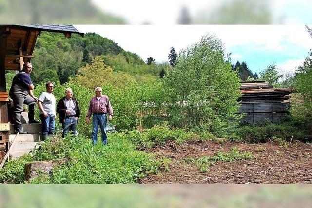 Die Fischtreppe in Kuhbach soll im November fertig sein