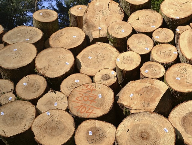 Ganz schn viel Holz: Wie Steinens Wl...eigt Holzbestnde im Weitenauer Wald.   | Foto: Paul Berger