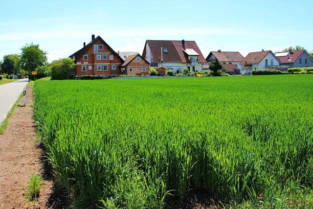 Fr den Ankauf von Grundstcken in ein...uro im aktuellen Haushalt eingestellt.  | Foto: Mario Schneberg