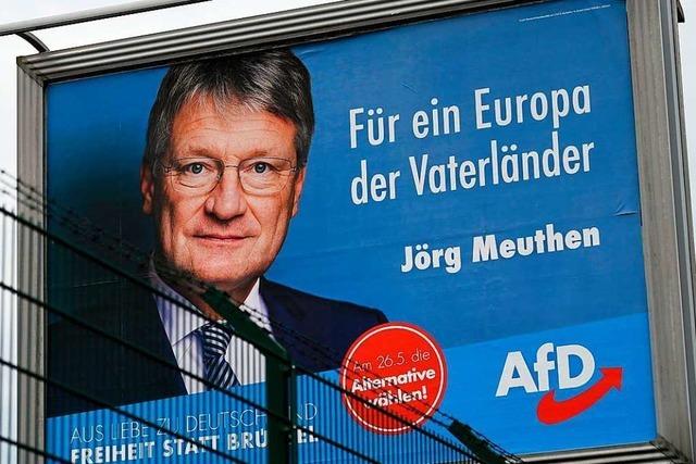 AfD hofft auf ein gutes Ergebnis bei Europawahl