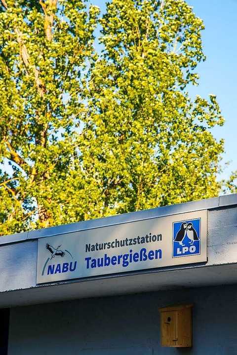 Die Naturschutzstation des Nabu im Taubergießen   | Foto: Joss Andres