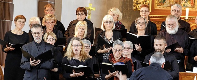 Der Chor beim Benefizkonzert in St. Antonius Schuttertal  | Foto: Heidi Fel