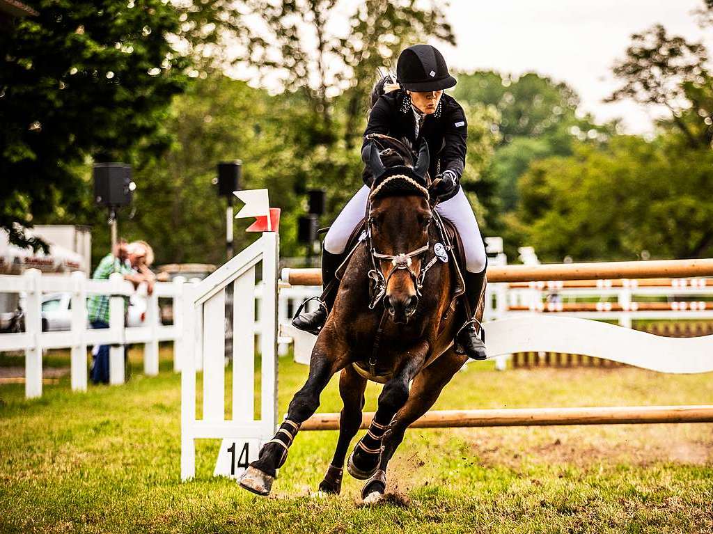 Reitturnier in Weil-Haltingen