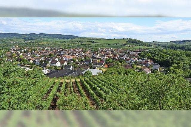 Freie Wähler gewinnen am stärksten bei Kommunalwahl in Sasbach