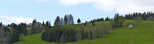 Der Bergrcken Radschert in Todtnauber...rden. Links im Bild die Jugendherberge  | Foto: Sattelberger