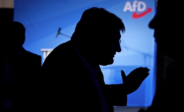 Jrg Meuthen bei der EU-Wahlparty der AfD  | Foto: Christoph Soeder (dpa)