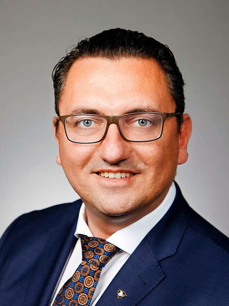 Dubravko Mandic, AfD