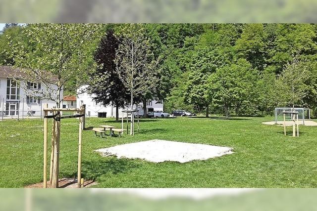 Stadt pflanzt 37 neue Bume in Schopfheim