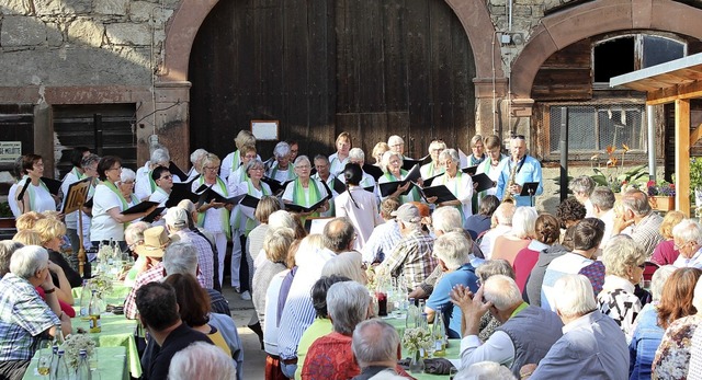 Die vielen Besucher genossen sichtlich...im heimeligen Hof von Familie Gthlin.  | Foto: Antje Gessner