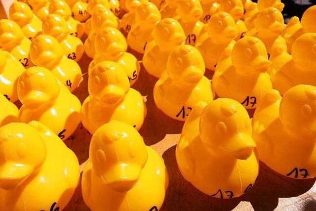 Die schnellste gelbe Ente wird gesucht