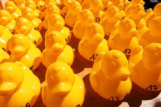 Eine Armee von Plastikenten steht bereit frs Entenrennen  | Foto: Stadt