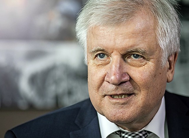 Horst Seehofer  | Foto: Michael Kappeler (dpa)