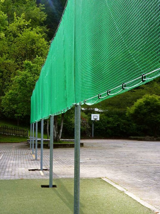 kologischer Ausgleich: ein Zaun, der Fledermusen als  Orientierung dient  | Foto: Sattelberger
