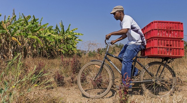 Die Bffel-Rder eignen sich zum Warentransport.  | Foto: Matt Pierce (WBR)