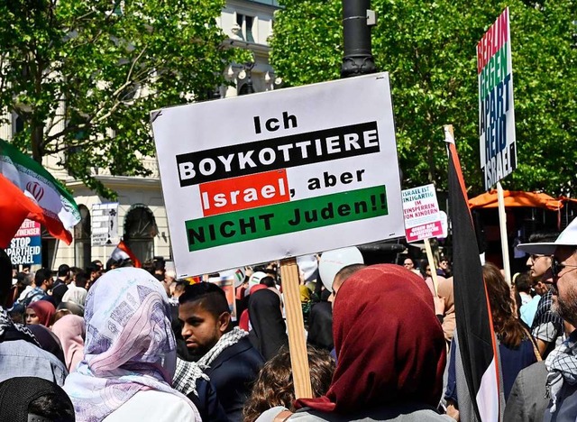 Demonstrantinnen rufen zum Boykott von Israel auf.  | Foto: TOBIAS SCHWARZ (AFP)