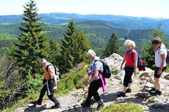 BZ-Leser wanderten auf dem neuerffneten Premiumwanderweg Belchensteig