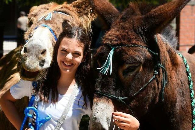 Fotos: Eselfest auf dem Freiburger Mundenhof