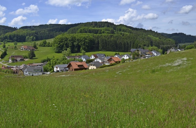 Das  knftige Baugebiet &#8222;Haldena...leibt landwirtschaftliche Nutzflche.   | Foto: Nikolaus Bayer