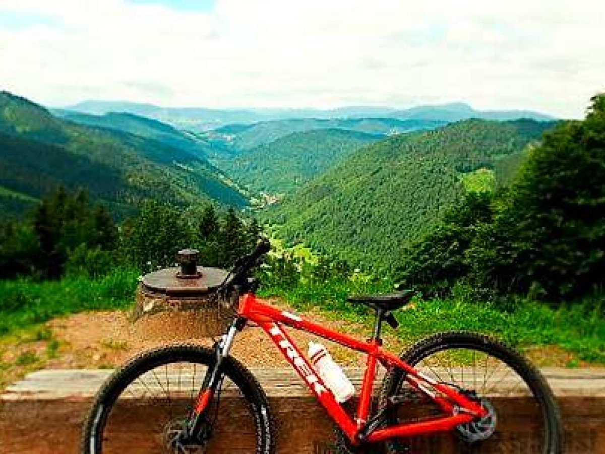 Fotografin Melina Myrta ist gerne mit dem Rad unterwegs. Dieses Foto entstand bei einer Tour auf den Feldberg. Die Schlerin geht in die Klasse 8.1 des Freiburger Montessori-Schulhauses.