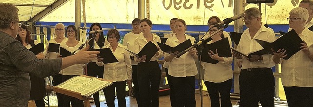 32 Sngerinnen und Snger reprsentierten den Choeur en Fugue auf dem Waldfest.   | Foto: Beate Zehnle-Lehmann