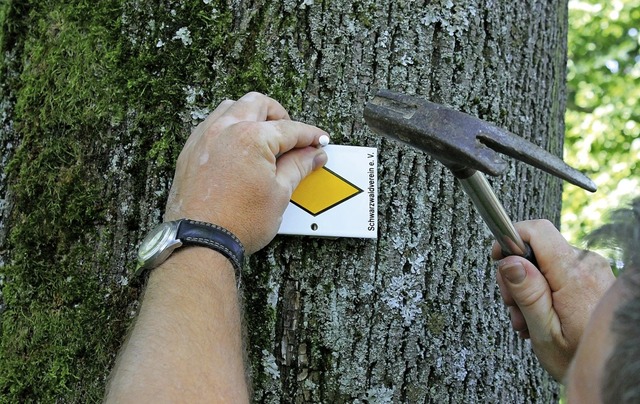 Neben Naturschutz , Landwirtschaft und...n, frchtet der Schwarzwaldverein.      | Foto: Schwarzwaldverein/Stephan Seyl