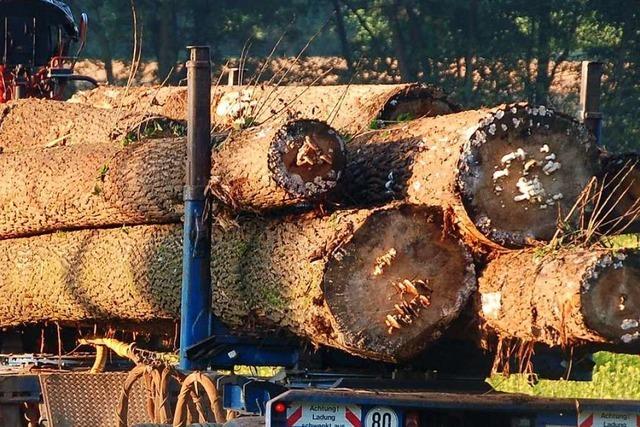 Nach Brand von Zugmaschine auf Spirzenstrecke: Hoher Schaden